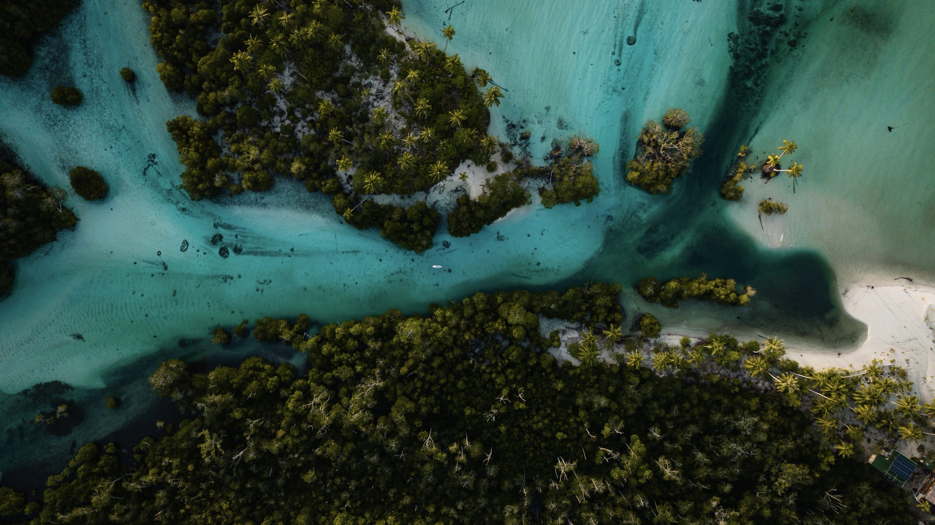 Aerial view of Awera Island's jungle meeting turquoise reef