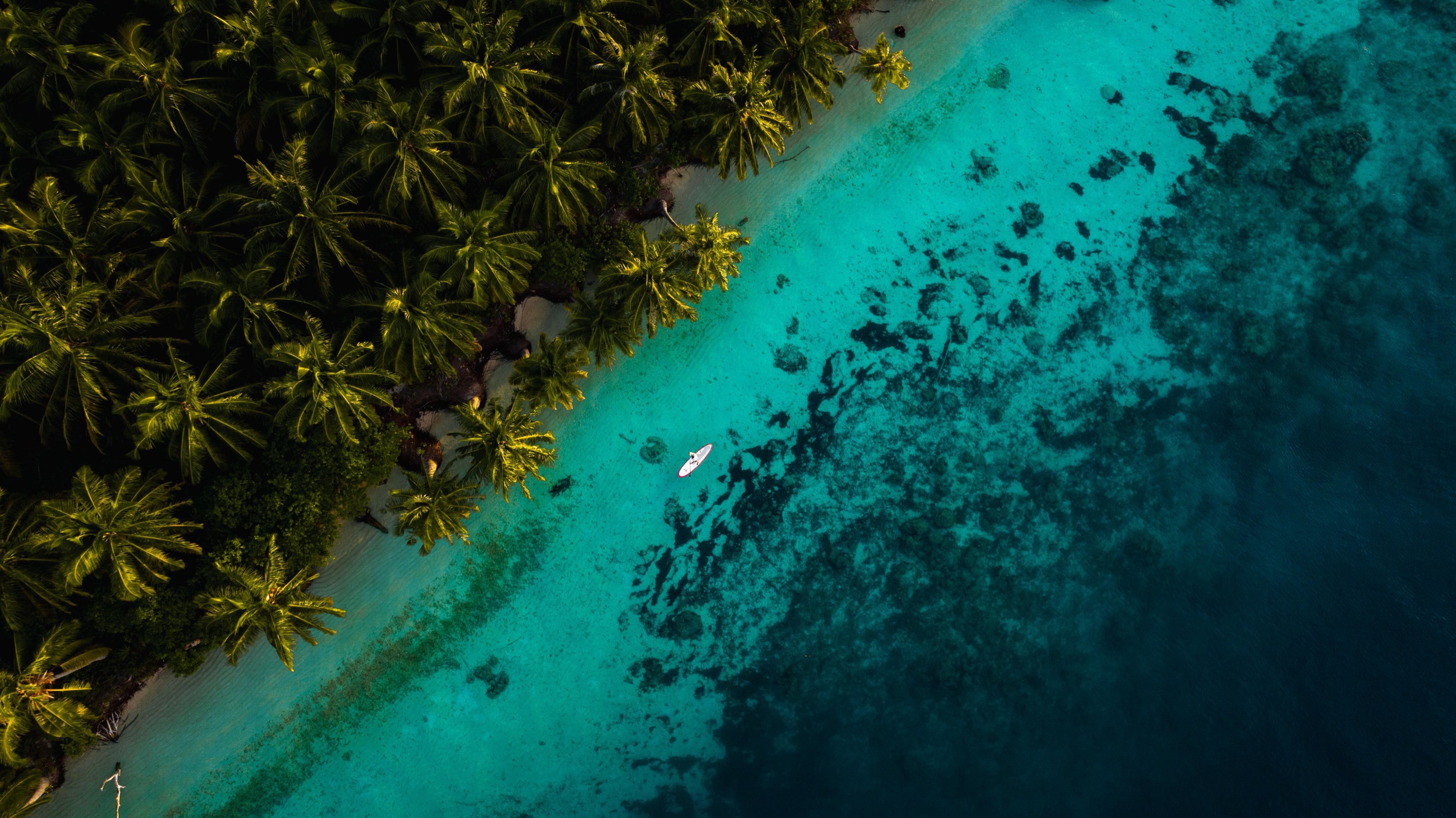 Palms meeting clear water along the Awera Island shoreline, from above