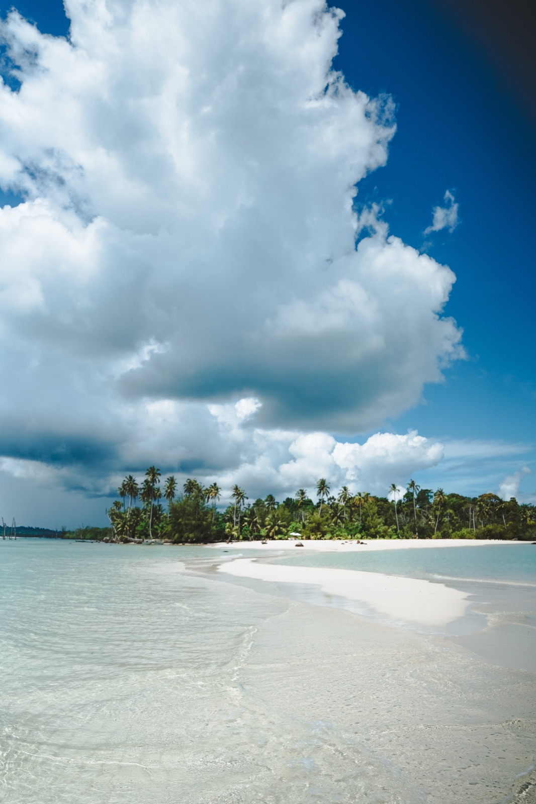 Big clouds over a white beach and palms