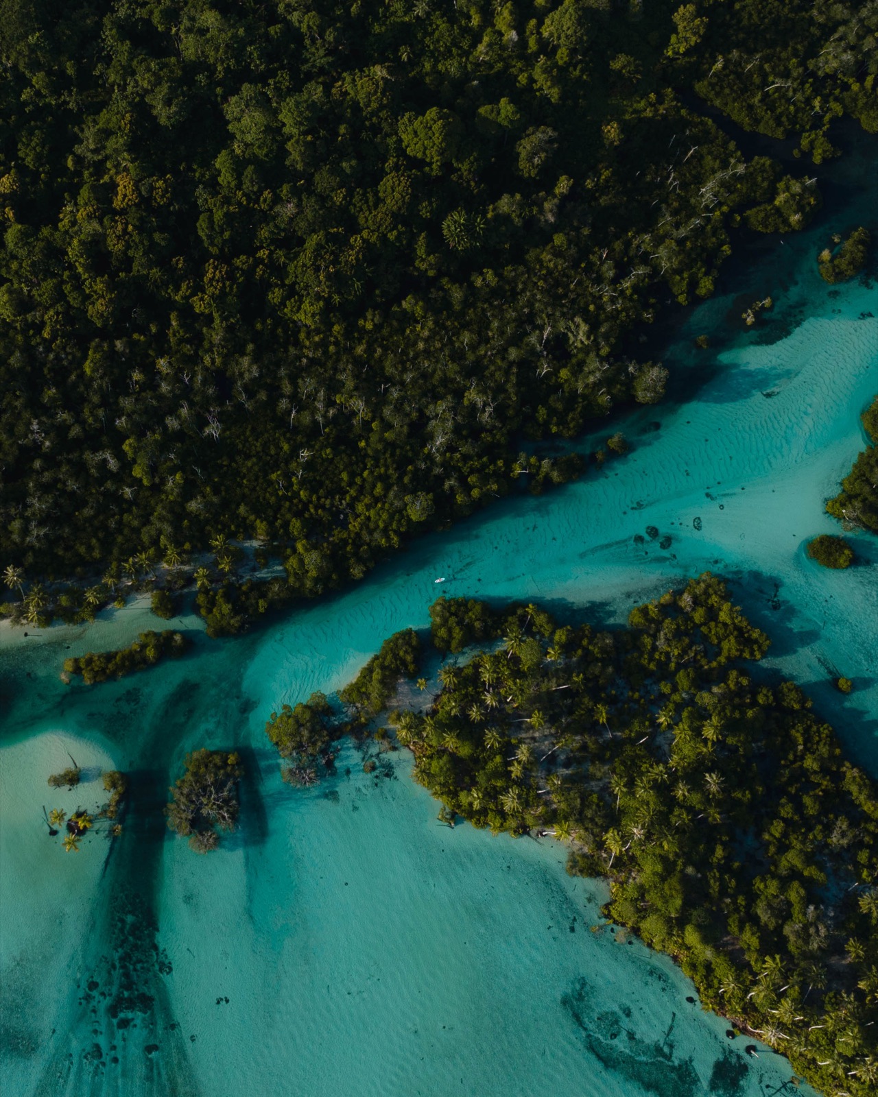 Jungle channels winding to the sea near Awera Island